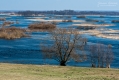 051_Biebrza - kwiecien 2011